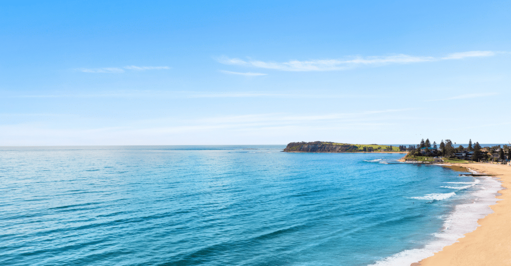 The Top Northern Beaches Suburbs to Invest in 2022