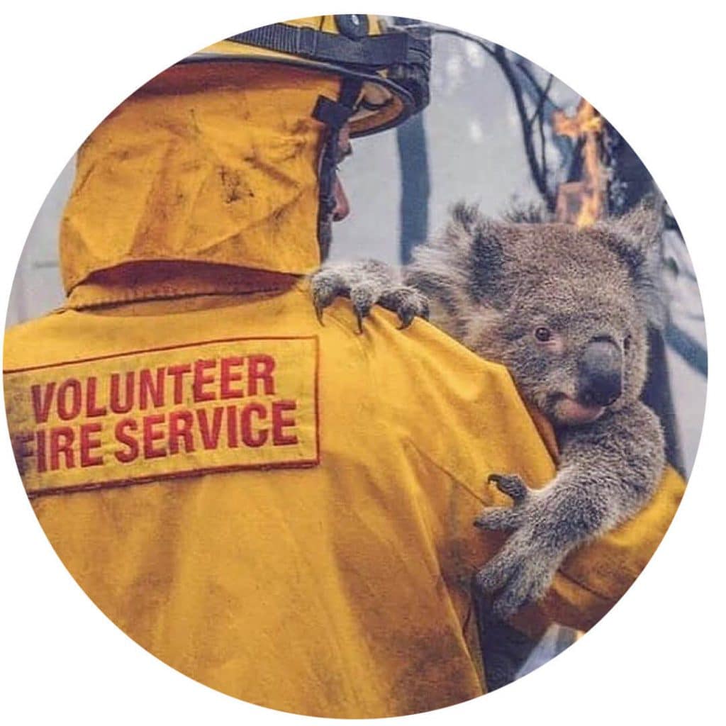 Bushfire relief and ocean clean-up