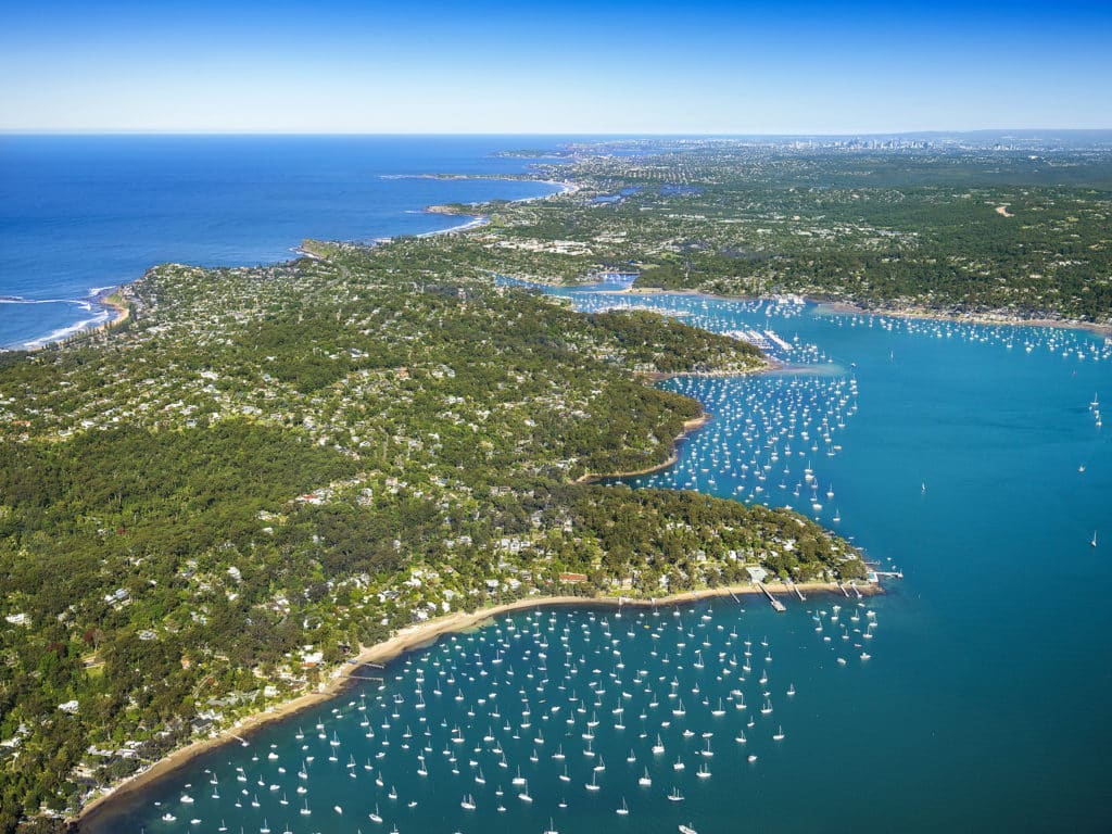 Is now a good time to buy or sell property in Sydney?￼