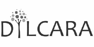 Logo 41
